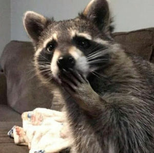 Meet your Posher, Leilani